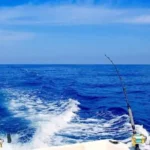 fishing thunderonthegulf