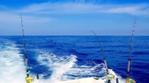 fishing thunderonthegulf