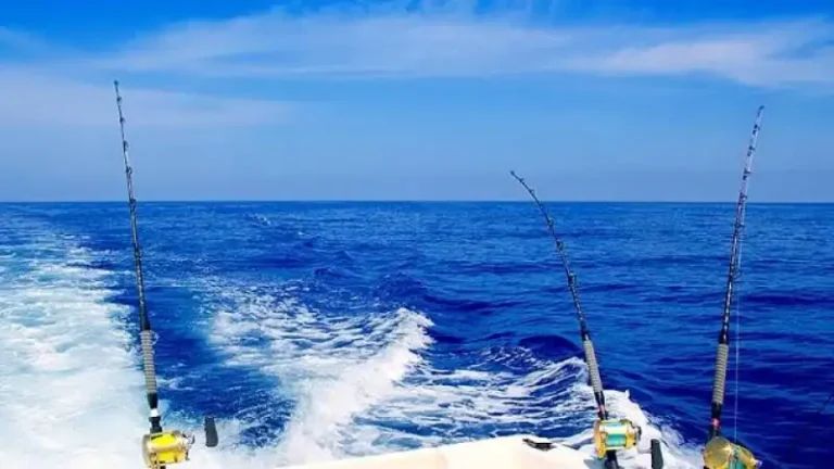 Fishing Thunderonthegulf: Complete Guide, Tips and What to Know
