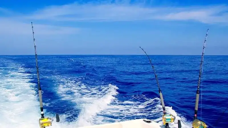 fishing thunderonthegulf